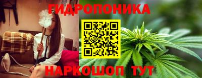 mdpv Обнинск
