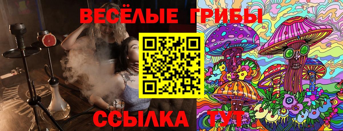 Галлюциногенные грибы Magic Shrooms  Псилоцибиновые грибы прущие грибы  Строитель  Вход с VPN 