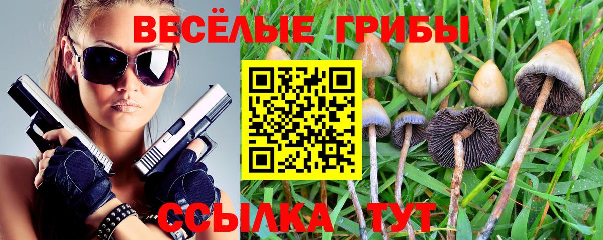 Псилоцибиновые грибы ЛСД Строитель
